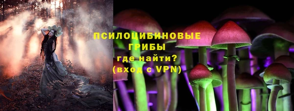 ПСИЛОЦИБИНОВЫЕ ГРИБЫ Зерноград