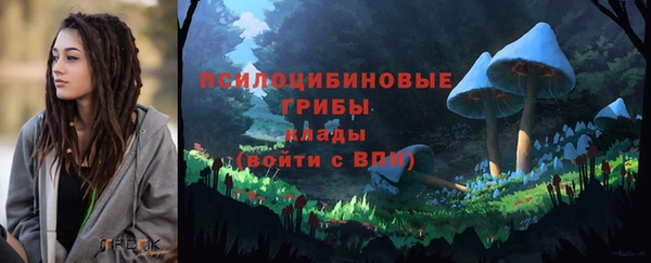 ПСИЛОЦИБИНОВЫЕ ГРИБЫ Зерноград