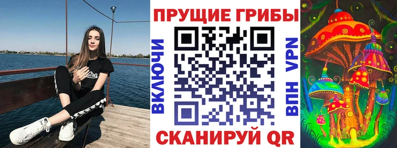 Галлюциногенные грибы мицелий  купить наркотик  Севск 